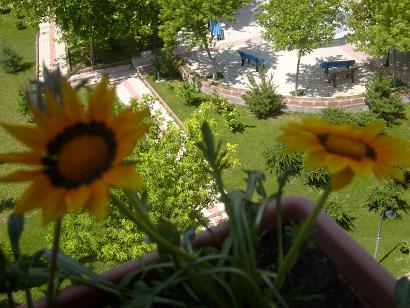 Name:  S6304533.JPG
Views: 2197
Size:  66.2 KB