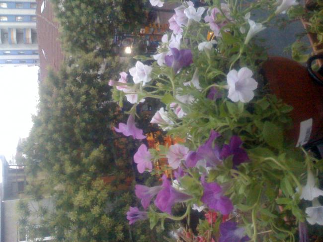 Name:  yeni.jpg
Views: 2202
Size:  48.1 KB