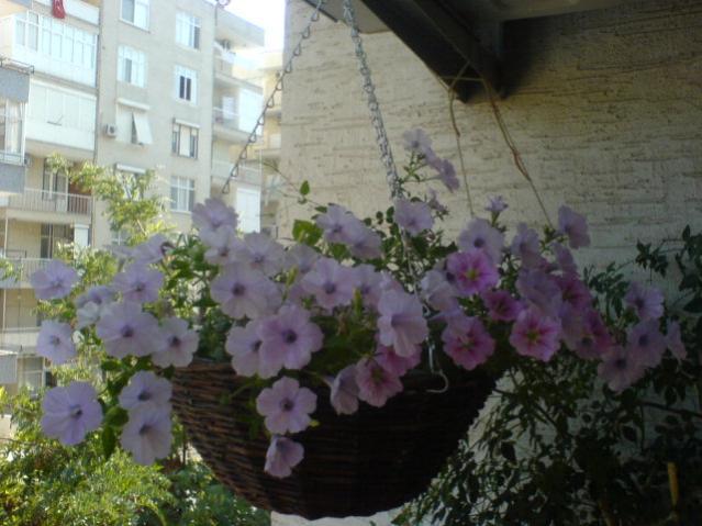 Name:  DSC07316.jpg
Views: 2159
Size:  46.6 KB