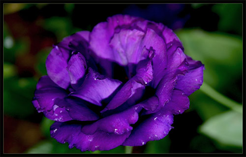Name:  03.jpg
Views: 892
Size:  53.5 KB