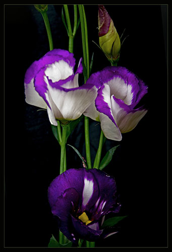 Name:  02.jpg
Views: 1153
Size:  50.9 KB