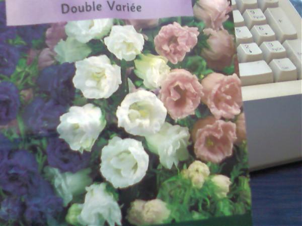 Name:  Photo-0111.jpg
Views: 4588
Size:  34.1 KB
