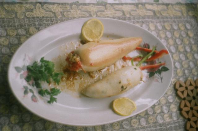 Name:  kalamar dolma 3.jpg
Views: 3345
Size:  33.3 KB