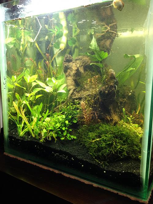 Name:  akv2.jpg
Views: 1061
Size:  63.8 KB