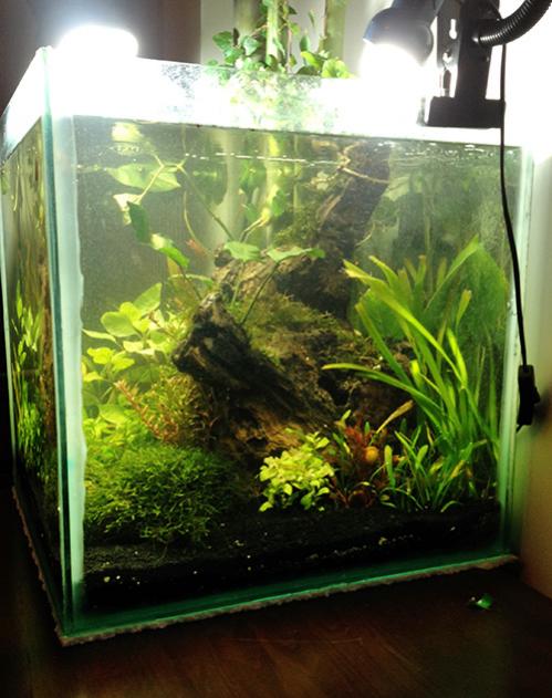 Name:  akv3.jpg
Views: 1201
Size:  51.8 KB