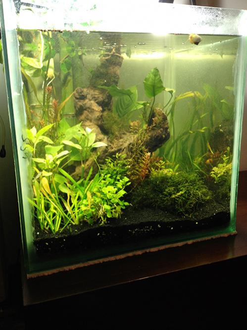 Name:  akv7.jpg
Views: 1081
Size:  50.6 KB