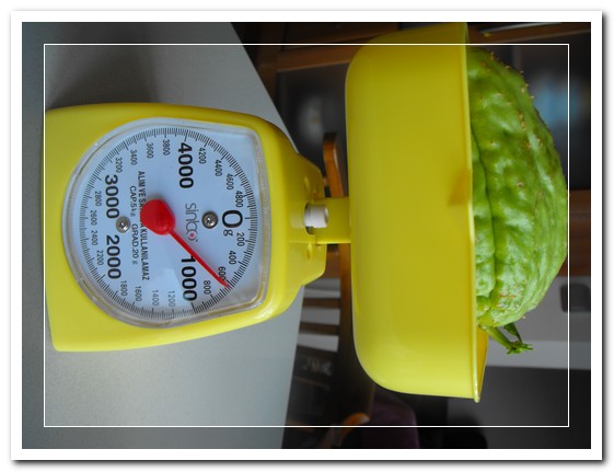 Name:  RR200004.JPG
Views: 5130
Size:  58.5 KB