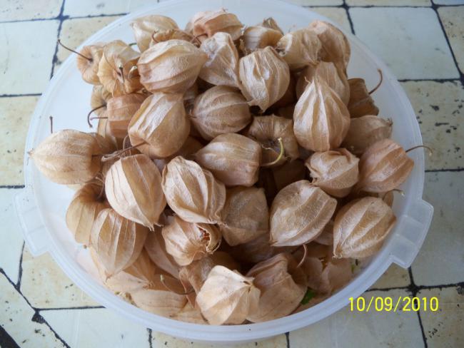 Name:  YEN 1751.jpg
Views: 4638
Size:  47.3 KB