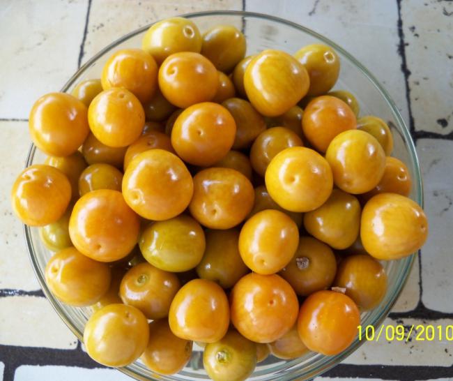 Name:  17.jpg
Views: 4689
Size:  48.8 KB