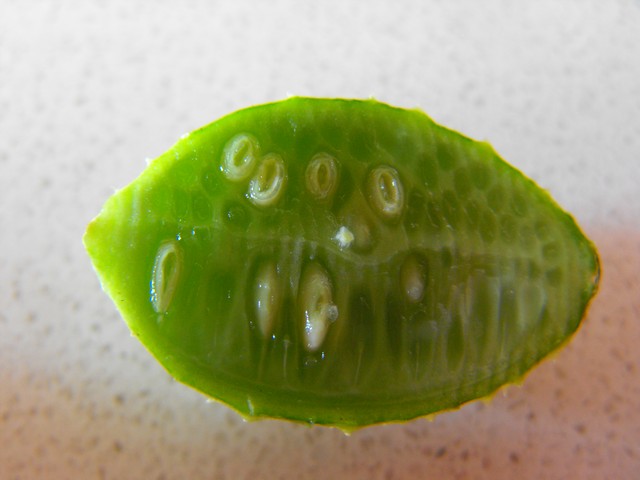 Name:  DSCF4457.jpg
Views: 1072
Size:  49.8 KB