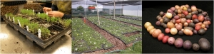 Name:  Image3.jpg
Views: 3529
Size:  23.6 KB