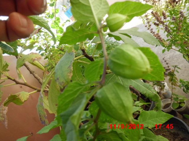 Name:  Resim 039.jpg
Views: 1924
Size:  49.4 KB