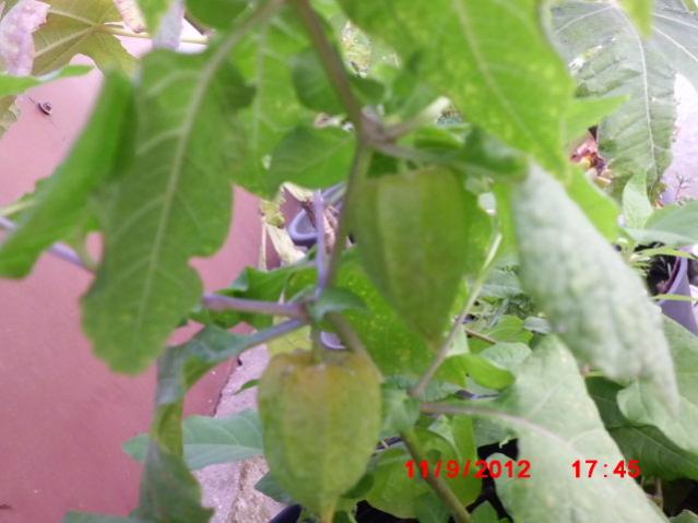 Name:  Resim 037.jpg
Views: 1844
Size:  37.0 KB