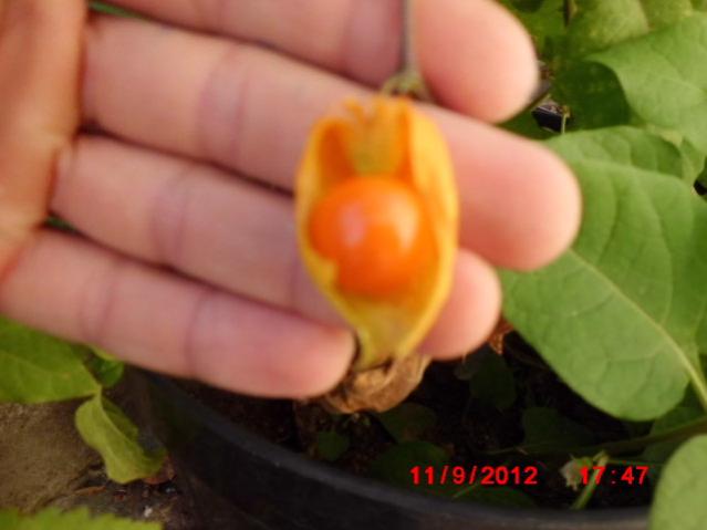 Name:  Resim 041.jpg
Views: 1876
Size:  26.9 KB