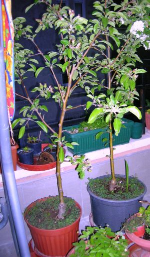 Name:  DSCN5273.JPG
Views: 54774
Size:  54.5 KB