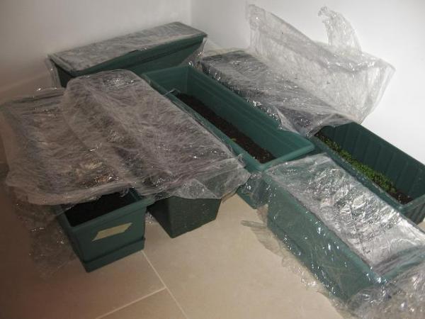 Name:  IMG_SR.jpg
Views: 1564
Size:  33.8 KB