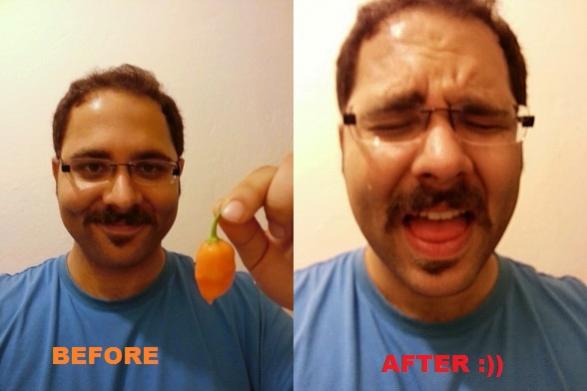 Name:  habanero - Kopya.jpg
Views: 1281
Size:  24.0 KB