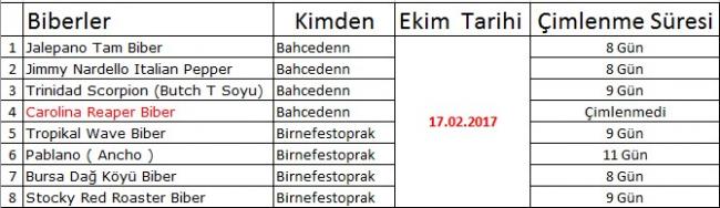 Name:  bbrlr.jpg
Views: 586
Size:  32.7 KB