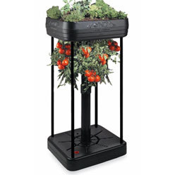 Name:  patio-garden-354303.jpg
Views: 4045
Size:  10.9 KB