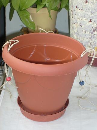 Name:  S6303933.JPG
Views: 14260
Size:  52.2 KB