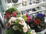 Name:  m.jpg
Views: 45336
Size:  65.6 KB