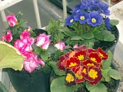 Name:  m2.jpg
Views: 44454
Size:  68.6 KB