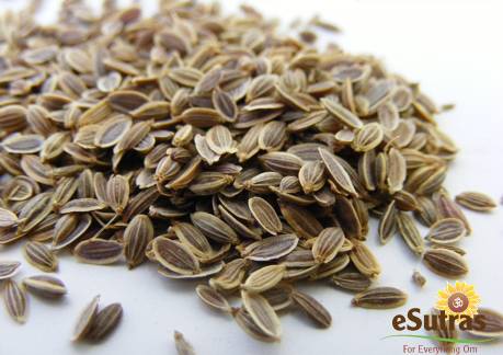 Name:  Dill Seed 1.jpg
Views: 11067
Size:  28.6 KB