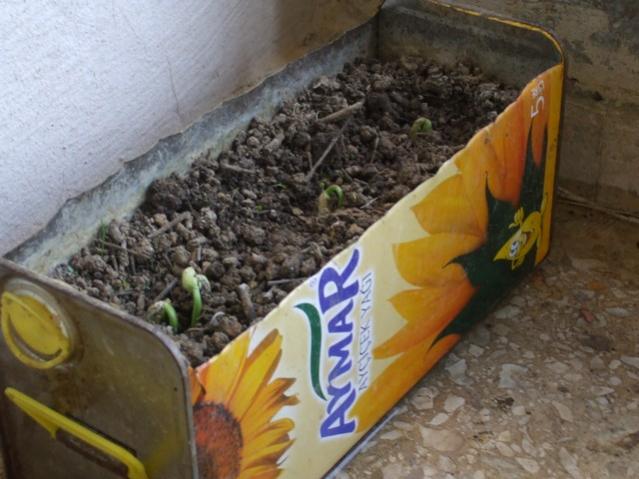 Name:  Image00006.jpg
Views: 2175
Size:  47.2 KB