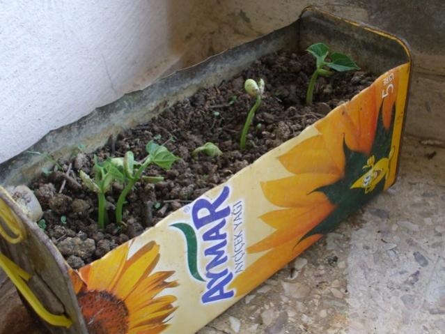Name:  Image00008.jpg
Views: 2245
Size:  50.2 KB