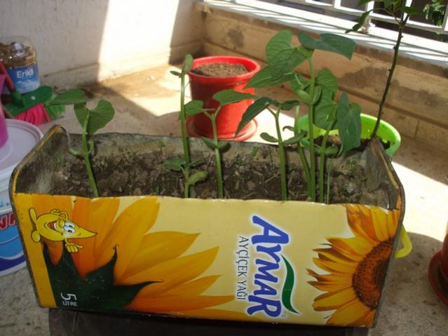 Name:  Image00011.jpg
Views: 2492
Size:  46.5 KB