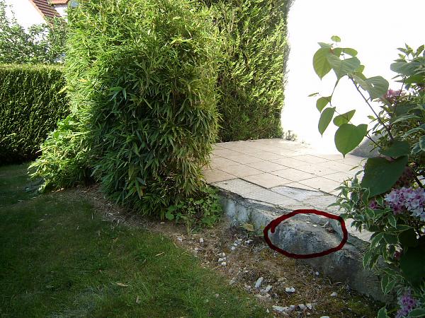 Name:  Photo 027 copie.jpg
Views: 1248
Size:  82.8 KB