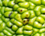 Name:  kolay soru.jpg
Views: 627
Size:  60.9 KB