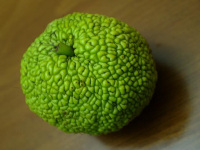 Name:  kolaysoru.jpg
Views: 940
Size:  29.2 KB