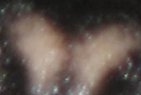 Name:  bulmaca.jpg
Views: 400
Size:  29.2 KB