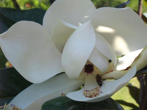 Name:  bu_nedir_2_cevab.jpg
Views: 351
Size:  55.8 KB