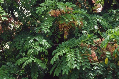 Name:  03.jpg
Views: 1365
Size:  63.4 KB