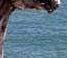 Name:  XXXXXw.jpg
Views: 365
Size:  1.4 KB