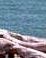 Name:  XXXXXs.jpg
Views: 401
Size:  1.2 KB