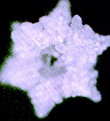 Name:  messages07.jpg
Views: 478
Size:  12.3 KB