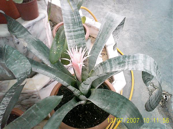Name:  PIC_0334.jpg
Views: 542
Size:  57.6 KB
