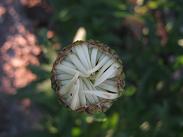 Name:  nedir.JPG
Views: 1234
Size:  19.3 KB
