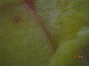 Name:  nedir.JPG
Views: 510
Size:  17.4 KB