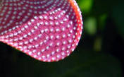Name:  785.jpg
Views: 421
Size:  6.4 KB