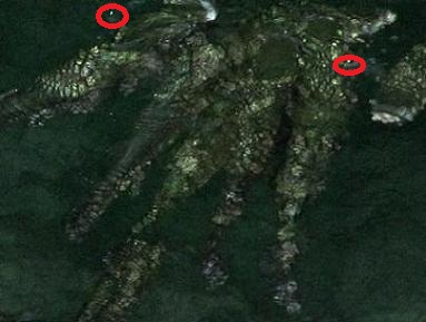 Name:  creature.JPG
Views: 433
Size:  43.5 KB
