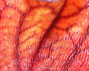 Name:  a.gif
Views: 474
Size:  27.0 KB