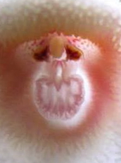 Name:  C66.jpg
Views: 1054
Size:  30.1 KB