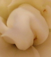 Name:  IMG_0172bu ne.jpg
Views: 746
Size:  9.9 KB