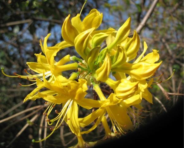 Name:  test9.jpg
Views: 1661
Size:  47.8 KB