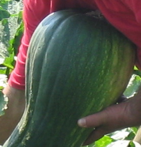 Name:  aaa.jpg
Views: 573
Size:  31.6 KB