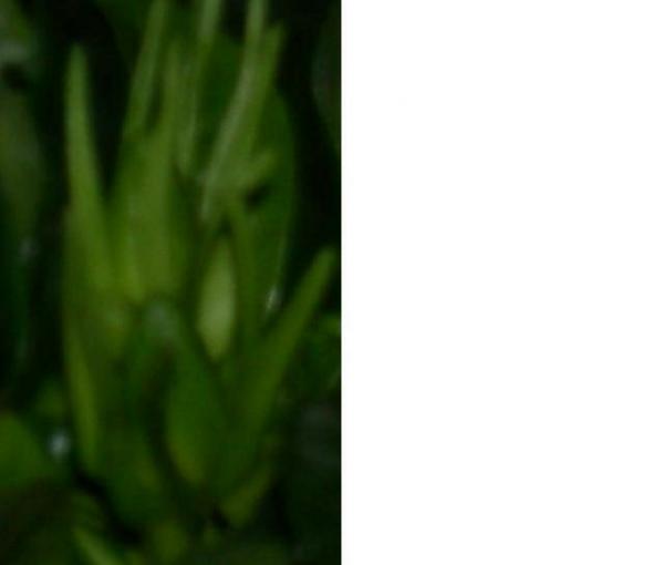 Name:  grd.jpg
Views: 512
Size:  13.5 KB